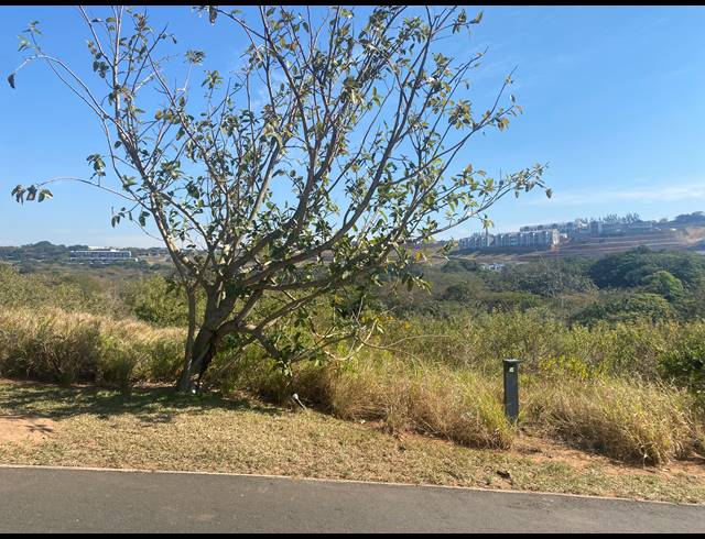 1,288M² VACANT LAND FOR SALE IN ZULULAMI LUXURY COASTAL ESTATE